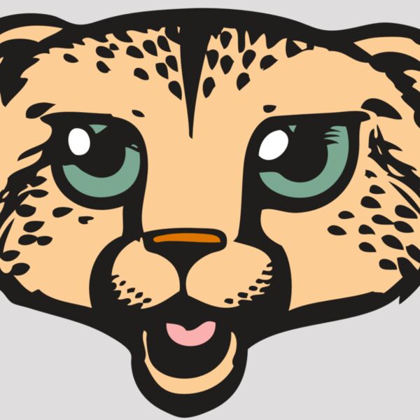 BAW CHEETAH 18 RC Thumbnail