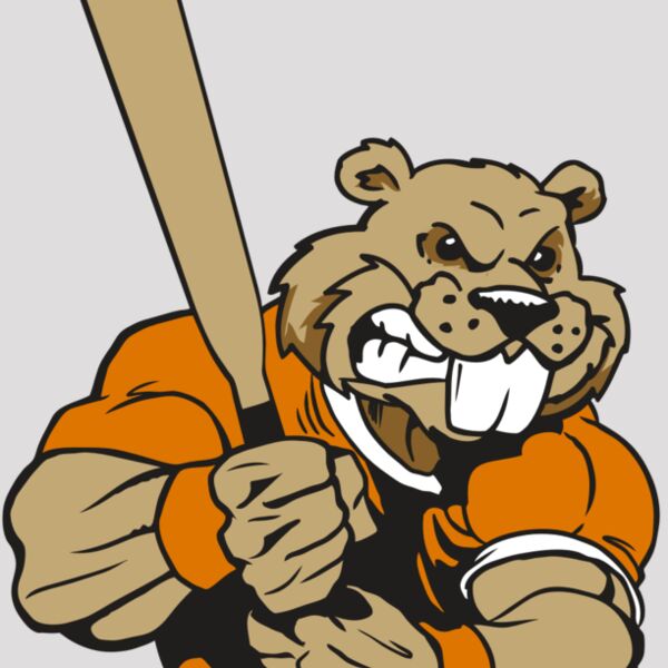 AR4 BEAVER 04 RQC Thumbnail