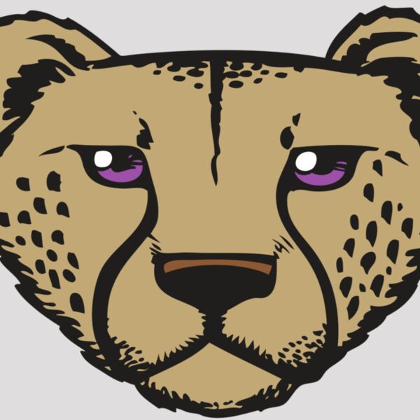 BAW CHEETAH 14 RC Thumbnail