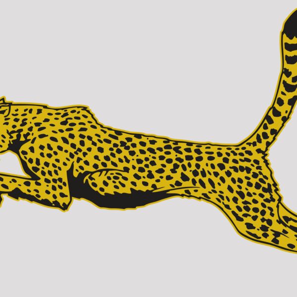 AR CHEETAH 10 RC Thumbnail