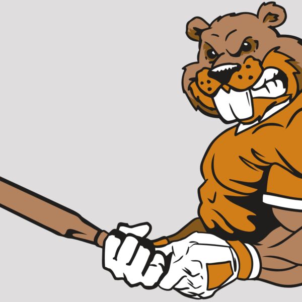 AR4 BEAVER 05 RQC Thumbnail