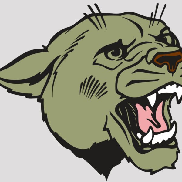 AR COUGAR 40 RC Thumbnail