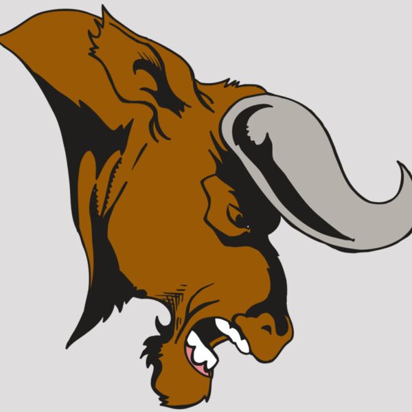 AR5 BULL 07 RQC Thumbnail