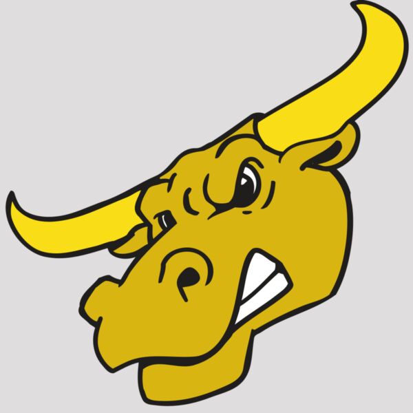 AR BULL 29 RC Thumbnail