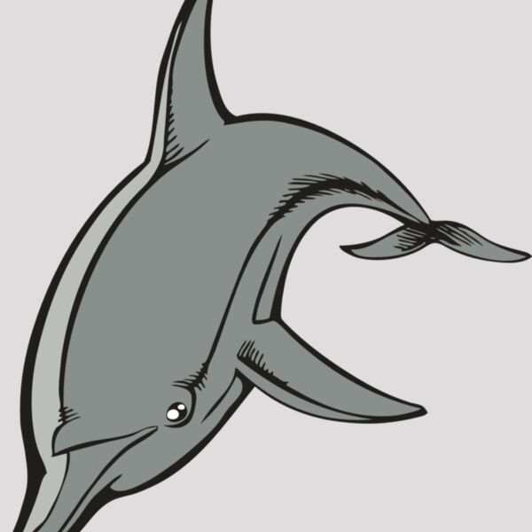 BAW DOLPHIN 03 RC Thumbnail