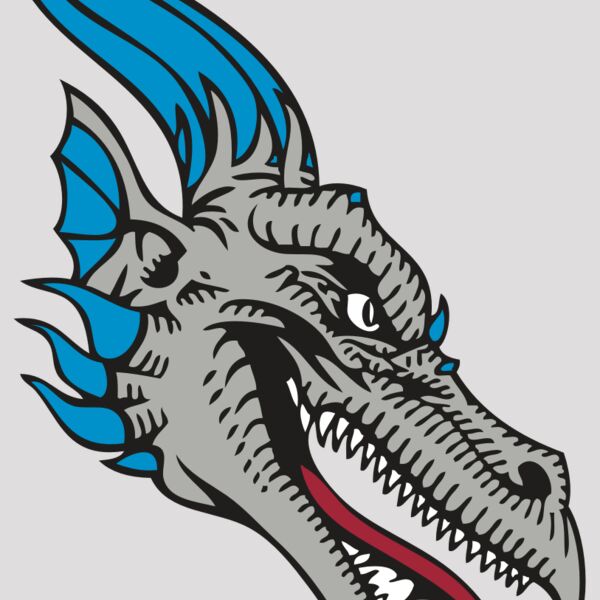 BAW DRAGON 07 RC Thumbnail