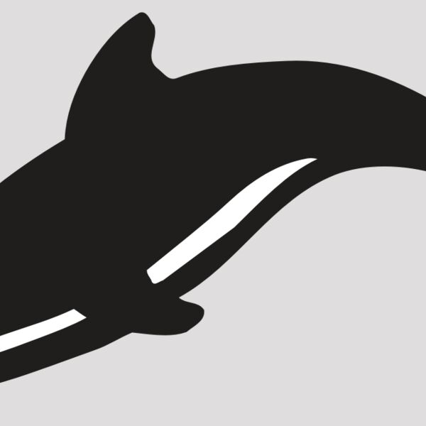 AR DOLPIN 16 RC Thumbnail