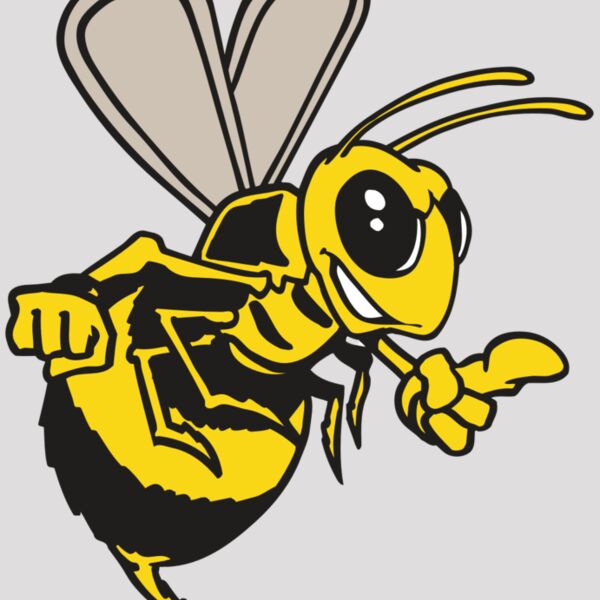 AR BEE 20 RC Thumbnail