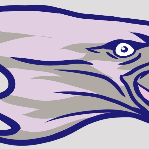 AR15 EAGLE 01 RQC Thumbnail