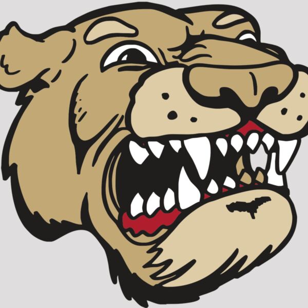 AR5 COUGAR 04 RQC Thumbnail