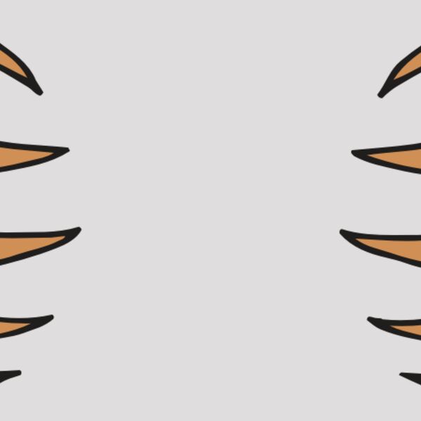 AR BEAR 05 RC Thumbnail