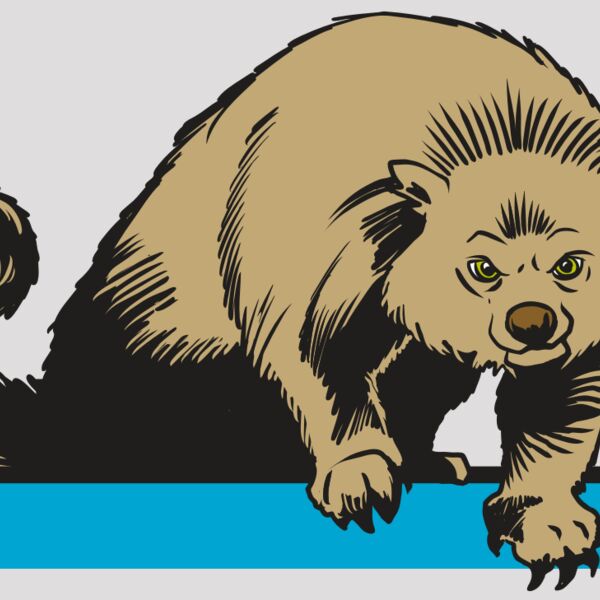 AR22 BEARCAT 02 RQC Thumbnail