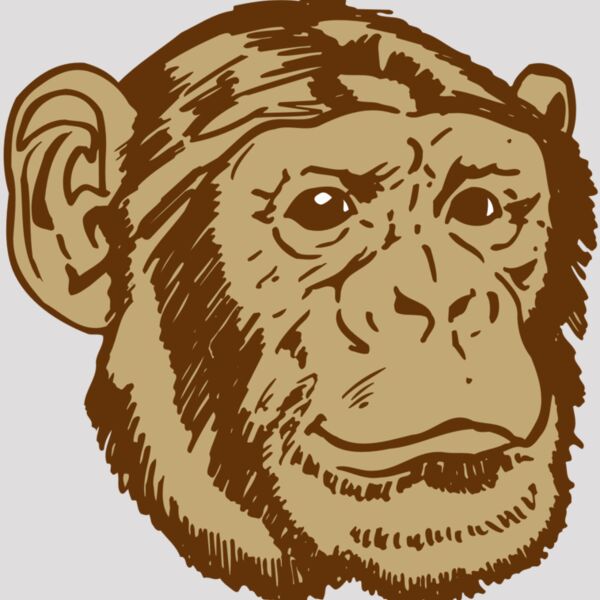 AR OTHER 47 RC Thumbnail