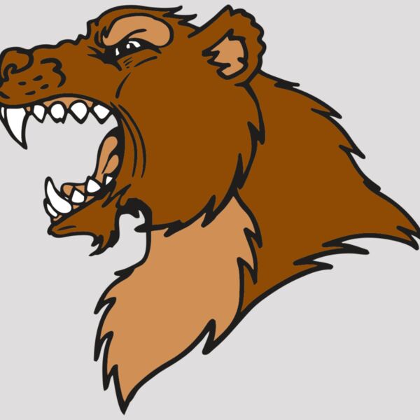 AR BEAR 22 RC Thumbnail