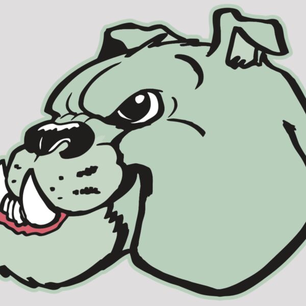 AR BDOG 29 RC Thumbnail