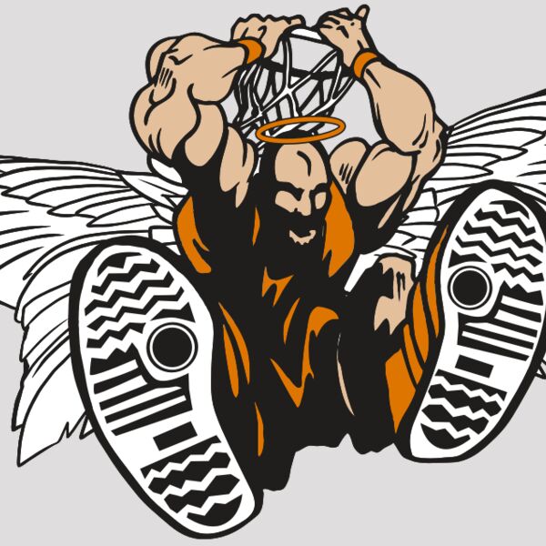 AR17 ANGEL BSKT 07 RQC Thumbnail