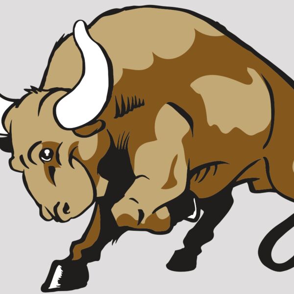 AR BULL 41 RC Thumbnail