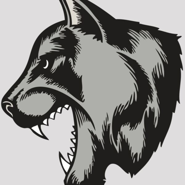 BAW COUG PANTH 06 RC Thumbnail