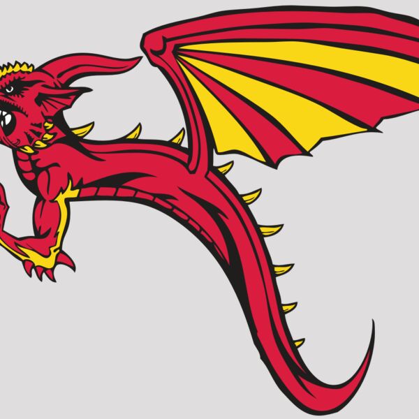 BAW DRAGON 02 RC Thumbnail