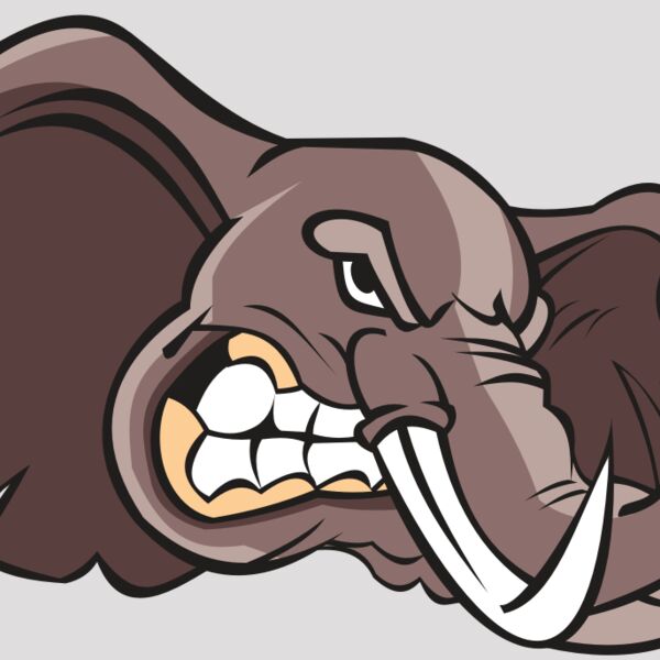 ELEPHANT HD0501 RQC Thumbnail