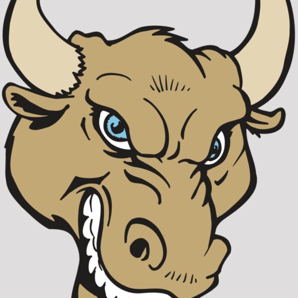 AR5 BULL 13 RQC Thumbnail