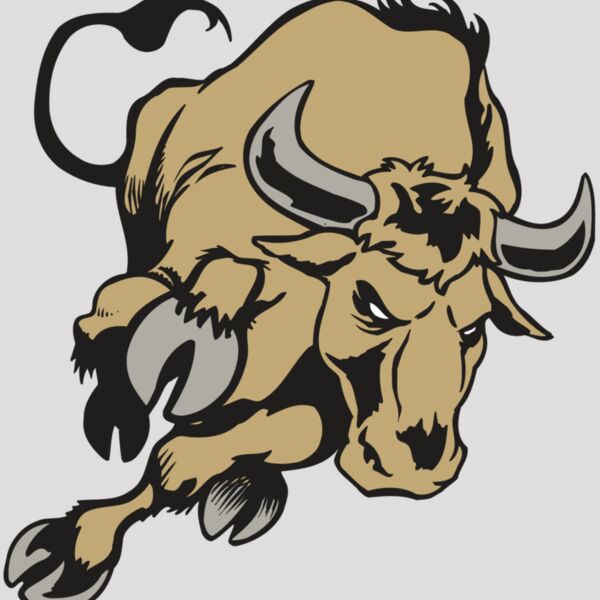 AR BULL 51 RC Thumbnail