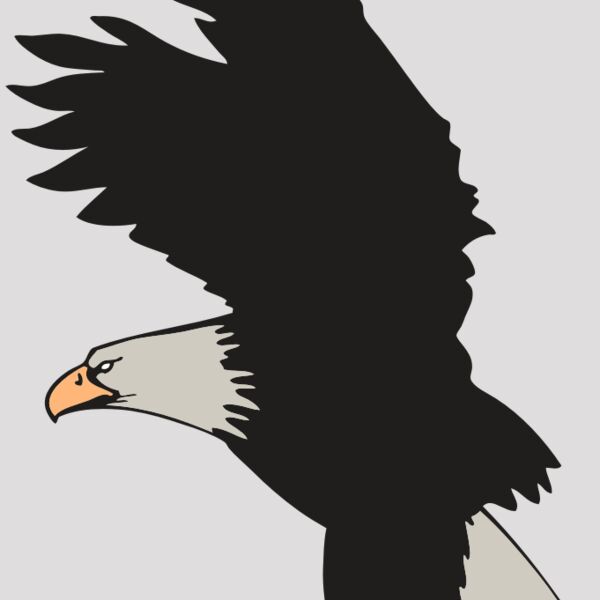 AR EAGLE 91 RC Thumbnail