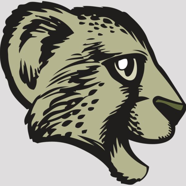 BAW CHEETAH 17 RC Thumbnail