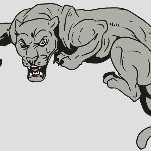 AR10 PANTHER 02 RQC Thumbnail