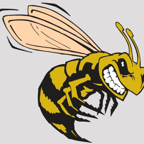 AR BEE 50 RC Thumbnail