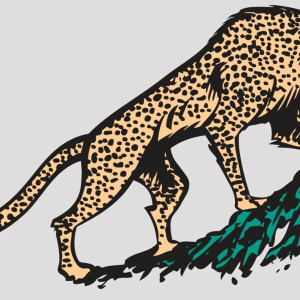 AR CHEETAH 02 RC Thumbnail