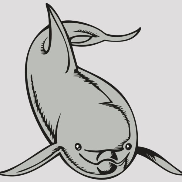 BAW DOLPHIN 02 RC Thumbnail