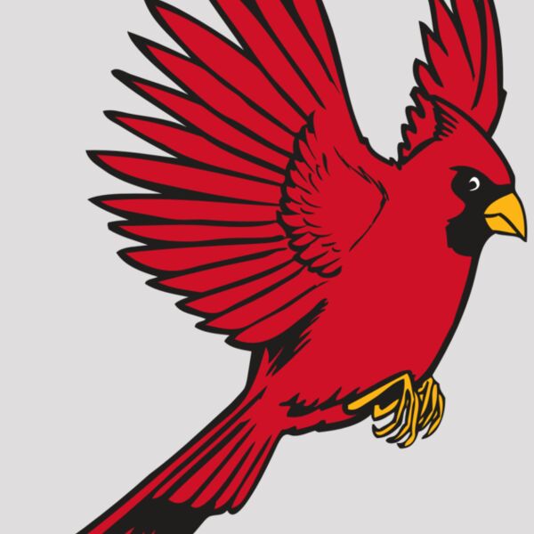 BAW CARDINAL 19 RC Thumbnail