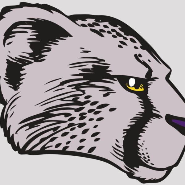 BAW CHEETAH 20 RC Thumbnail