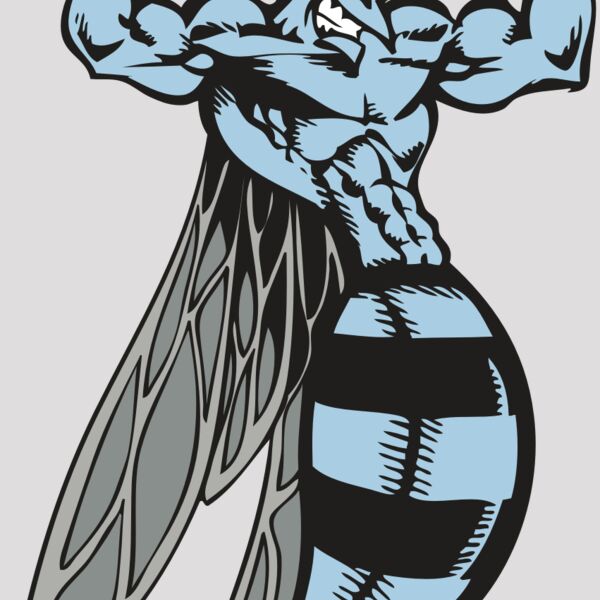 BAW BEE 08 RC Thumbnail