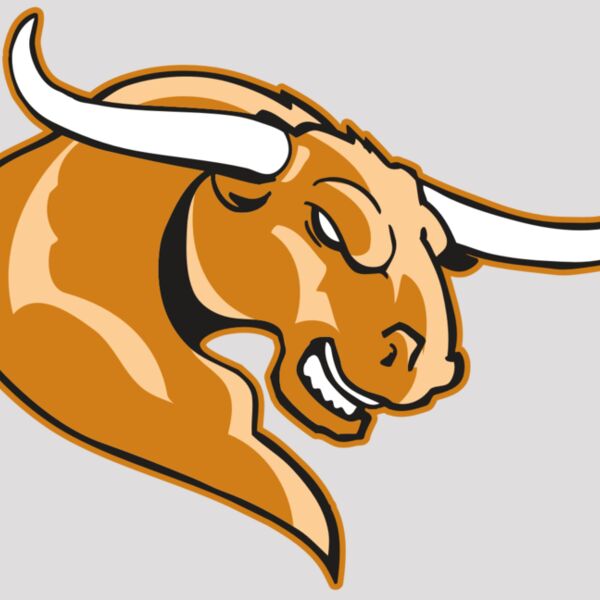 AR BULL 14 RC Thumbnail