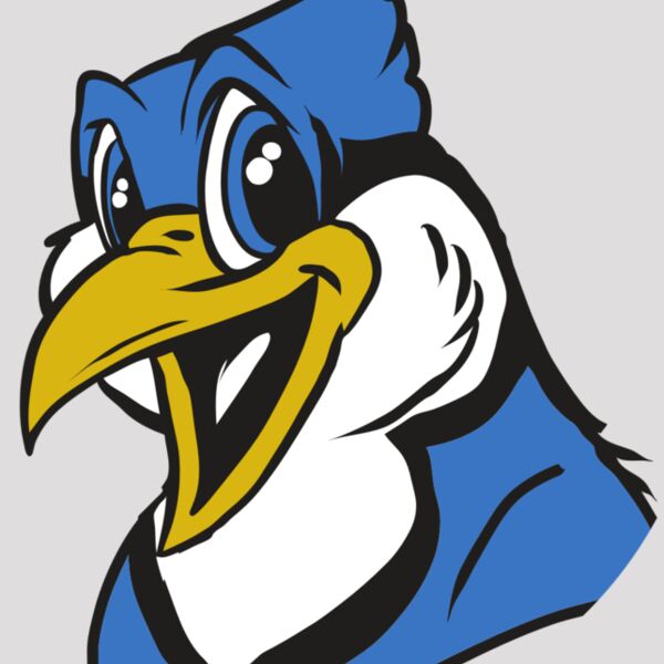 AR31 BLUEJAY 01 RQC Thumbnail