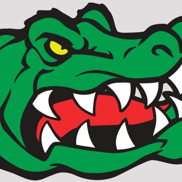 AR GATOR 19 RQC Thumbnail