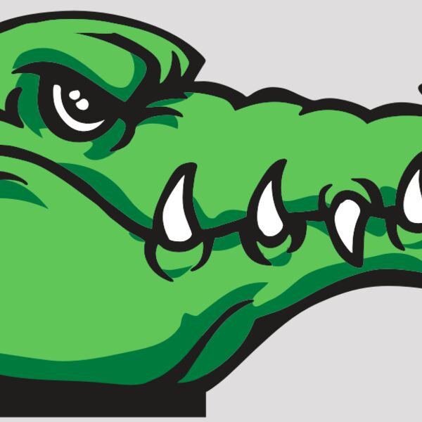 AR GATOR 15 RQC Thumbnail