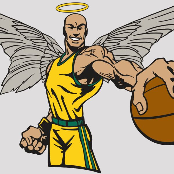 AR17 ANGEL BSKT 06 RQC Thumbnail