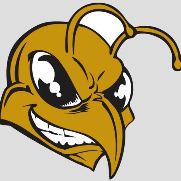 BAW BEE 18 RC Thumbnail