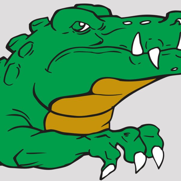 AR GATOR 22 RQC Thumbnail