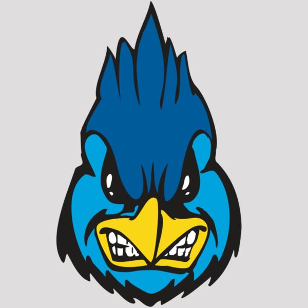 BAW BLUEJAY 02 RC Thumbnail