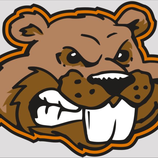 AR BEAVER 11 RC Thumbnail