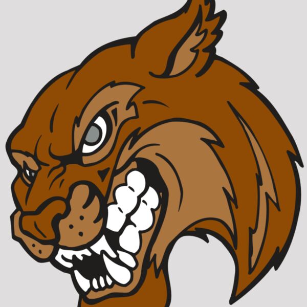 AR5 BOBCAT 07 RQC Thumbnail