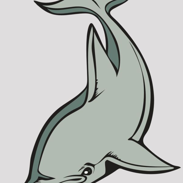 BAW DOLPHIN 01 RC Thumbnail