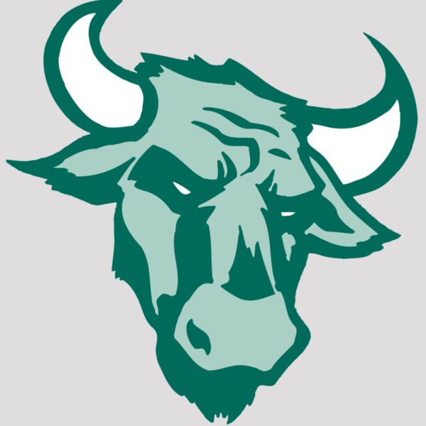 AR BULL 37 RC Thumbnail