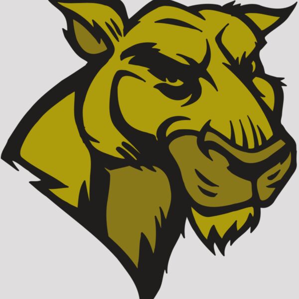 AR5 COUGAR 18 RQC Thumbnail