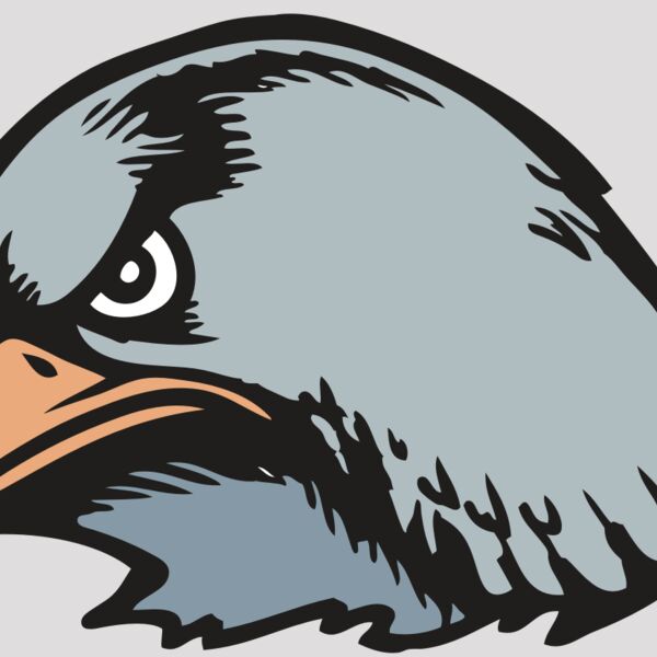 BAW HWK FLCN 03 RC Thumbnail