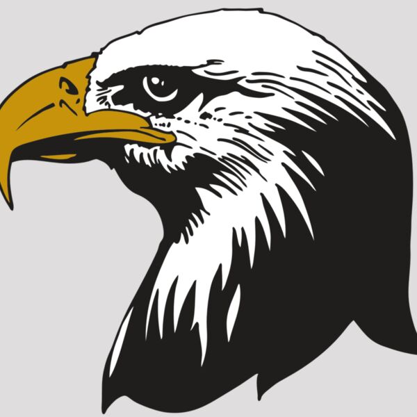 AR EAGLE 87 RC Thumbnail